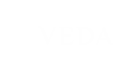 Veda - Healthy Indian Takeout